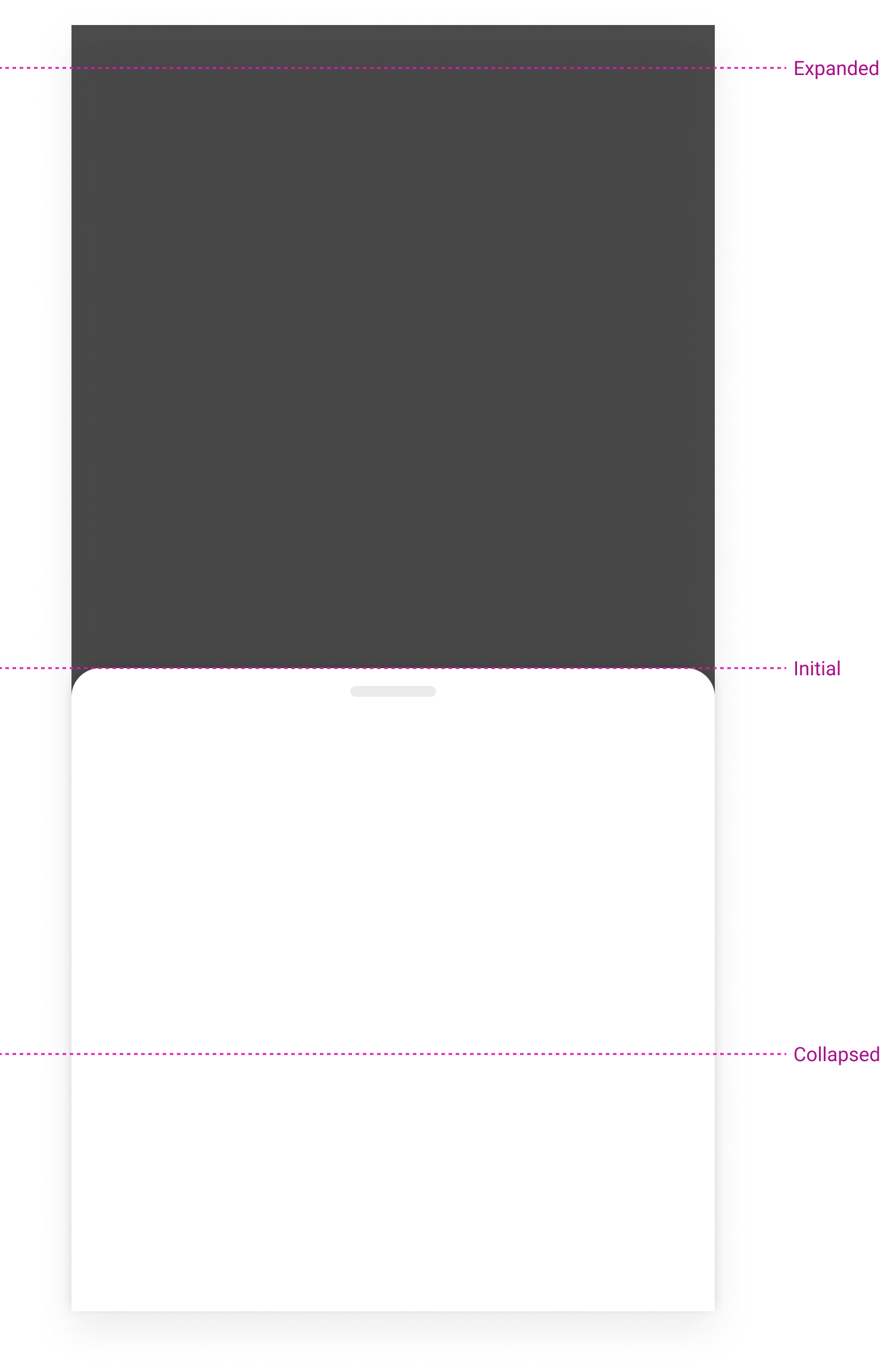 Bottom Sheet Display